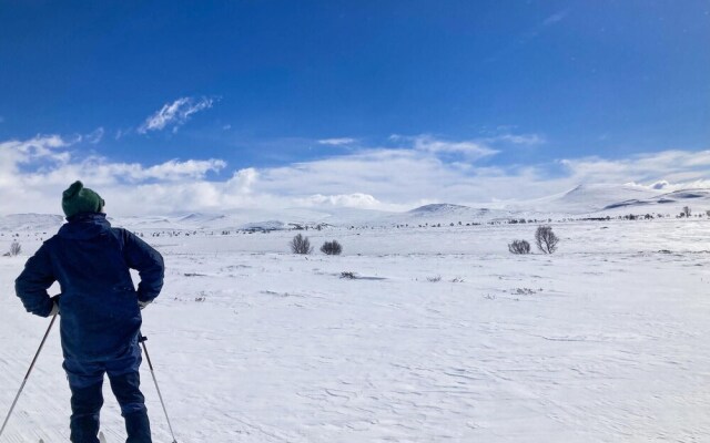 Amazing Home in Dovre With Sauna and 3 Bedrooms