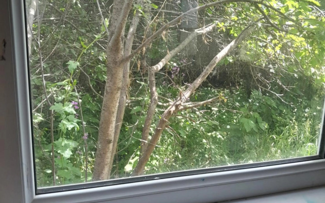 Waterfall in the yard