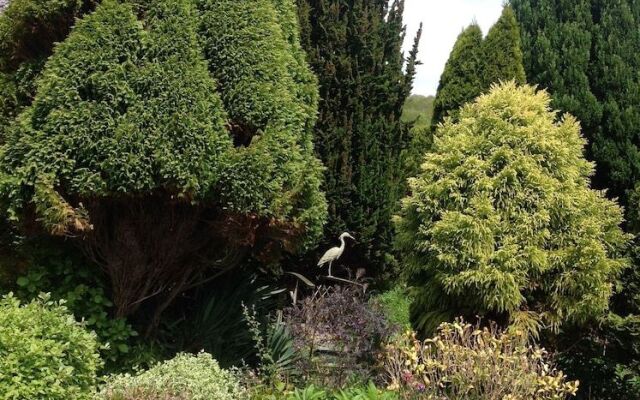 Abbotsbury Tea Rooms