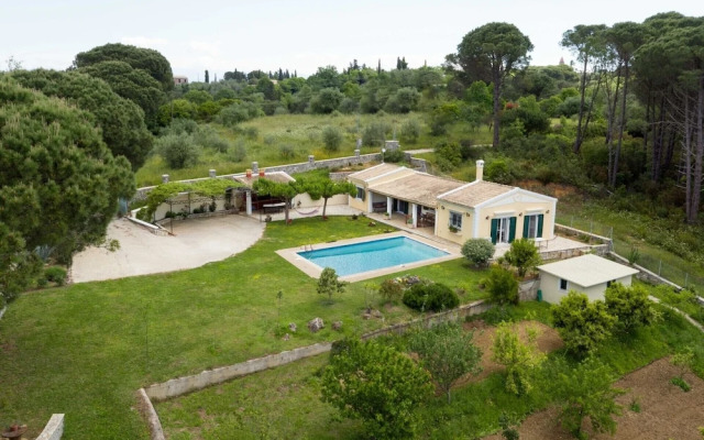 Villa Pine Forest