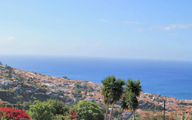 Quinta D'Alegria by Our Madeira
