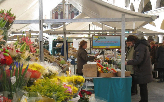 Padovaresidence Palazzo della Ragione
