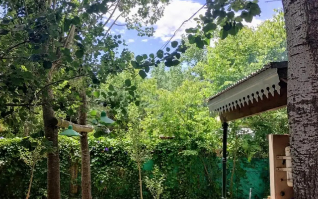 Santa Teresita en el monte