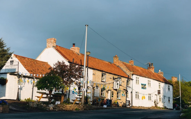 Exelby Green Dragon