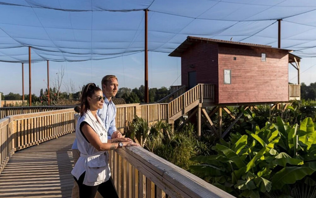 Les Lodges - Parrot World