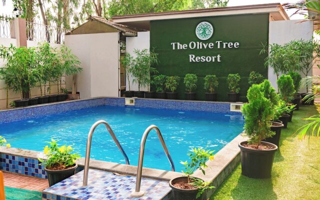 Olive Tree Resort