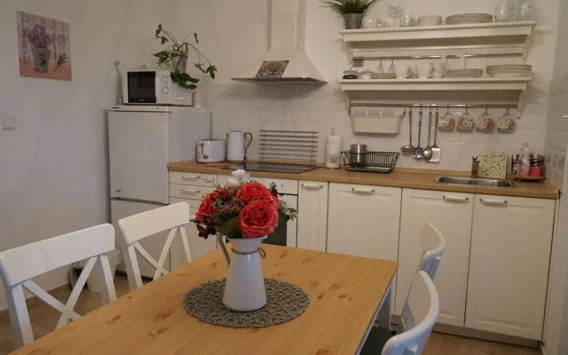 Apartment Boroví