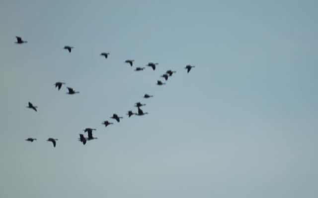 Alaska Adventure Cabins