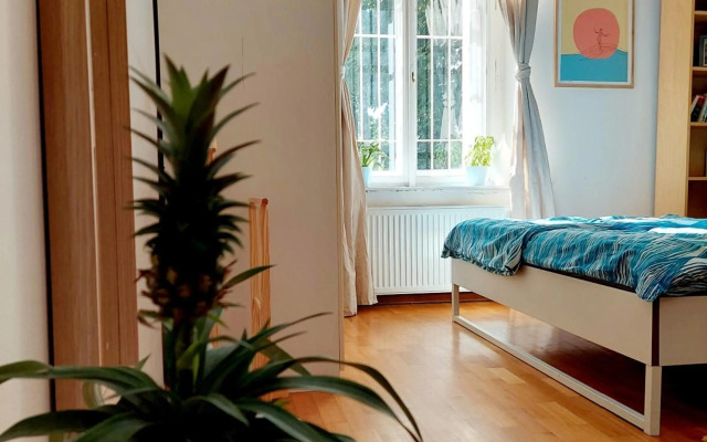 Cozy studio in Vinohrady