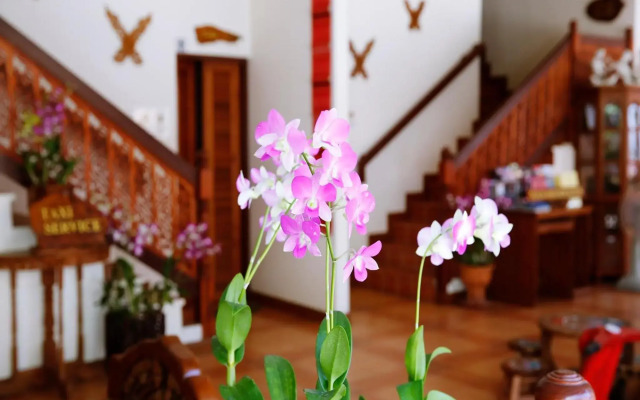 The Orchid House