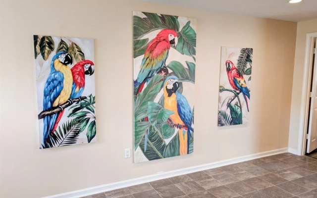 Parrot Head