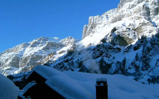 BnB Apartments Steinbock