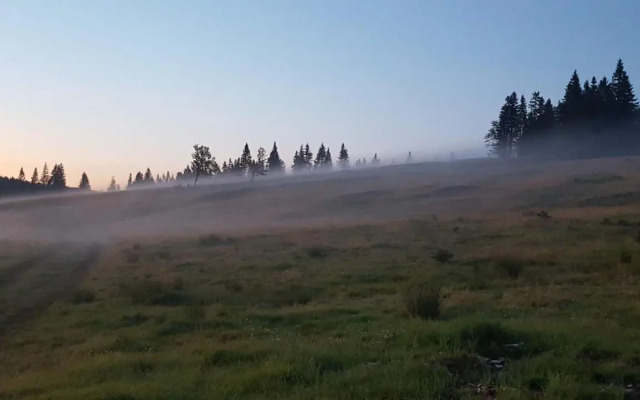 Rogla App Jerebika 11