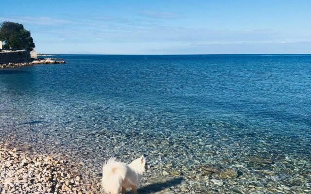 Nata a - A4(4) in Umag