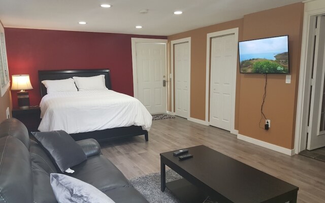Forest Ocean View place