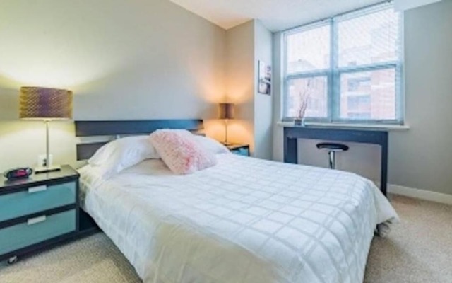 Lovely 2 Bedroom 2 Bathroom Apartment in the Nation s Capital 4 Guests