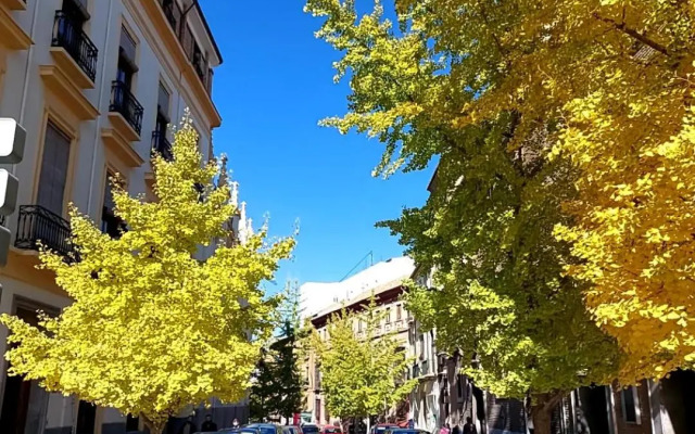 Patio San Jerónimo Casa de Arte