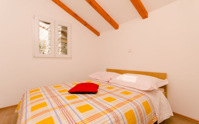 House Ancica