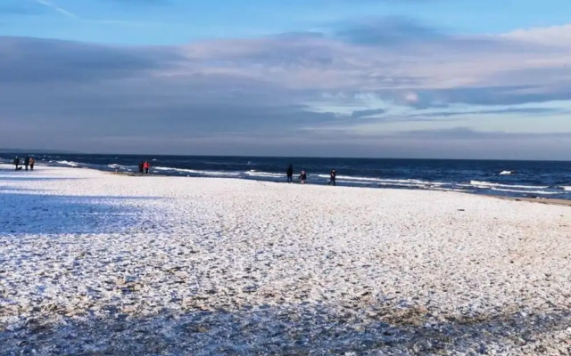 Dreamtime Modern Retreat