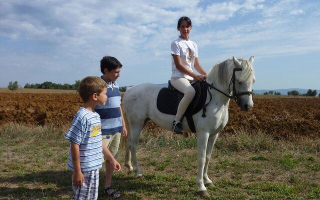 Casale dei Gelsi Bed & Breakfast