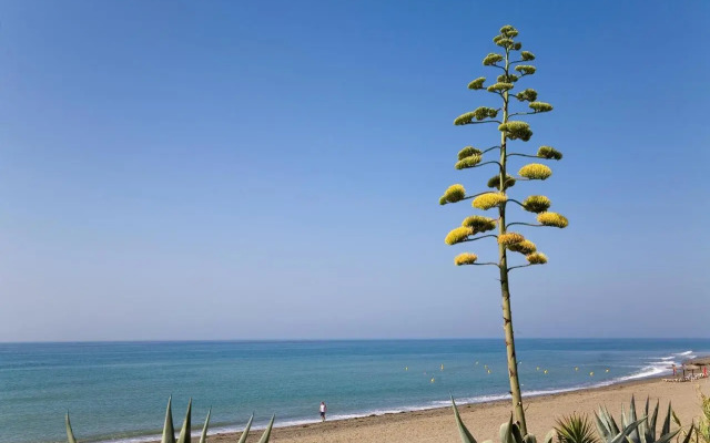 Apt 322 Heaven Beach Apartments, Guadalmansa Playa