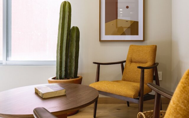 Incredible and Spacious 2BR 2BA Apt in Polanco