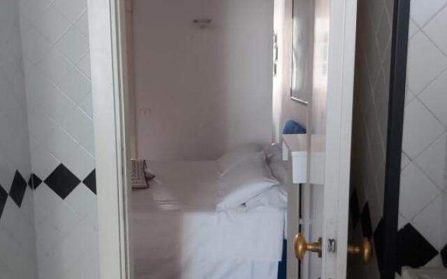 Gatto Bianco Bergamo 9