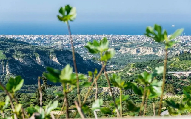 Muses: Panoramic View, Close To Historical Sites
