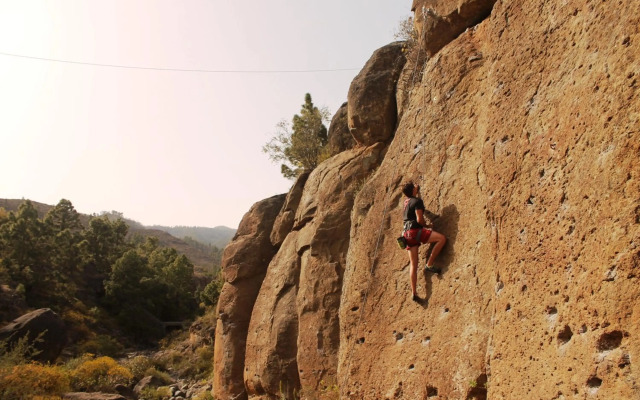 FINCA LA PLANTACIÓN _Agroturismo