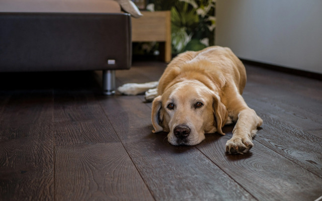 Wellness & Spa Boutique Hotel Villa Memories