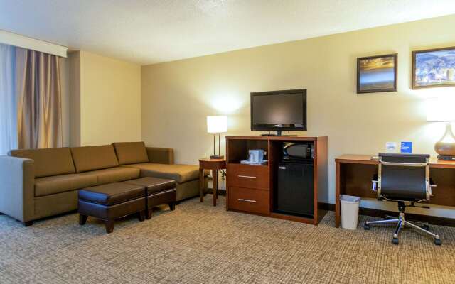 Comfort Inn Downtown