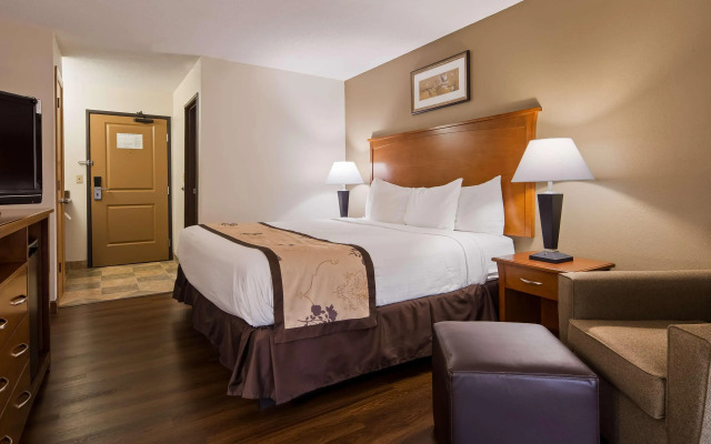 Best Western Alexandria Inn