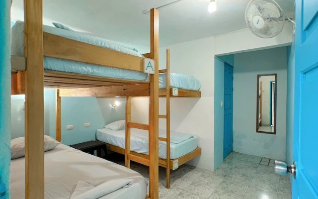 Hostel Samara