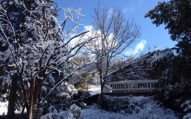Scenic Wonders Fisherman's Oasis 3 Bd