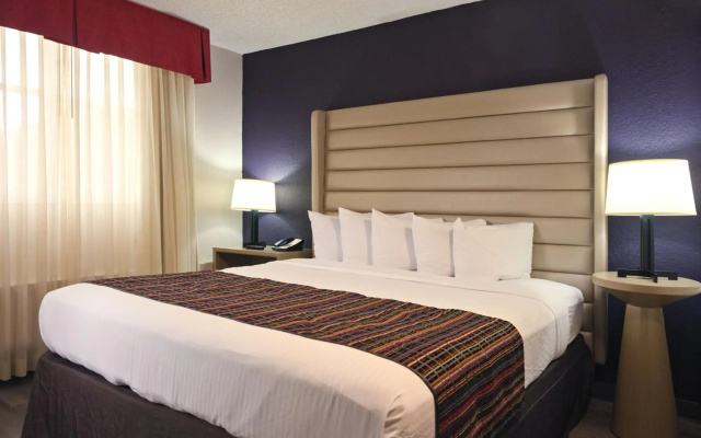 The Palms Inn & Suites