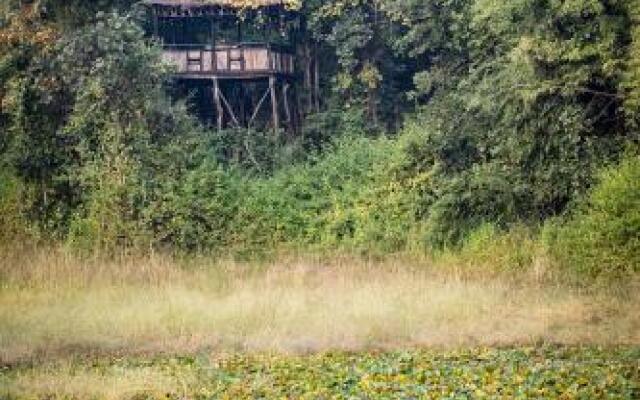 Tree House Hideway Bandhavgarh