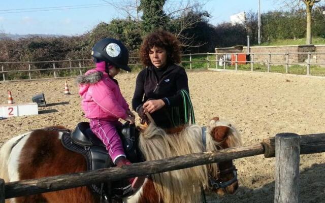 Cavallo Di Fiori - Agriscuderia