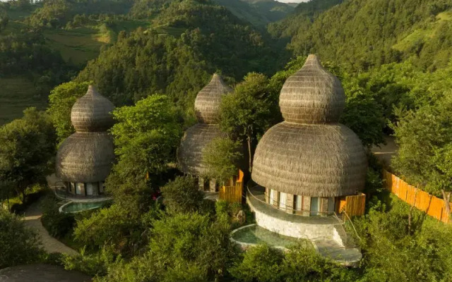 Garrya Mu Cang Chai