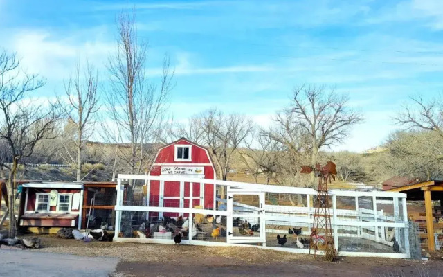 Arrowhead Country Cabins