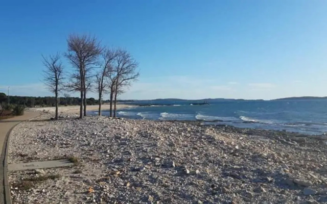 Apartment Olive Garden