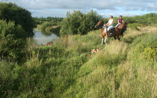 Hollamoor Farm B&B