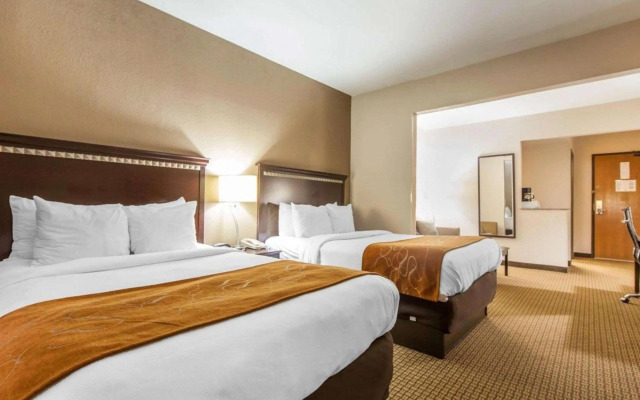 Comfort Suites London South