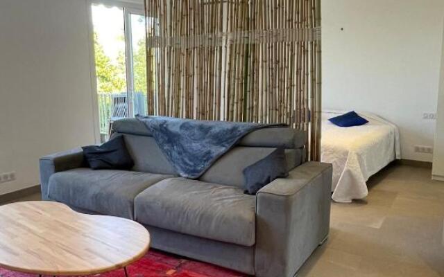 Bnb Renting Le Cèdre Spacious Studio In Cannes With A Balcony Wifi And Ac