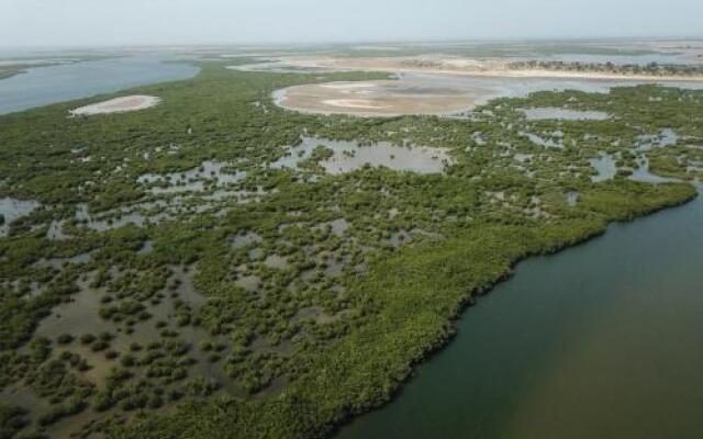 Le Pelican du Saloum