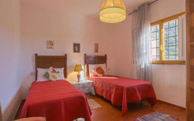 Conte Francesco Ii 233S