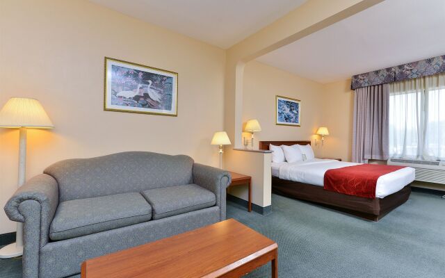 Comfort Suites La Porte