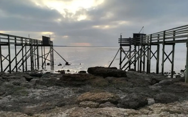 Les Marmottes Charentaises