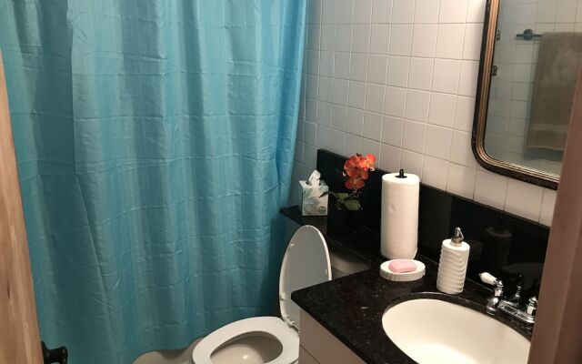 Shopping Restaurants Nightlife Beach