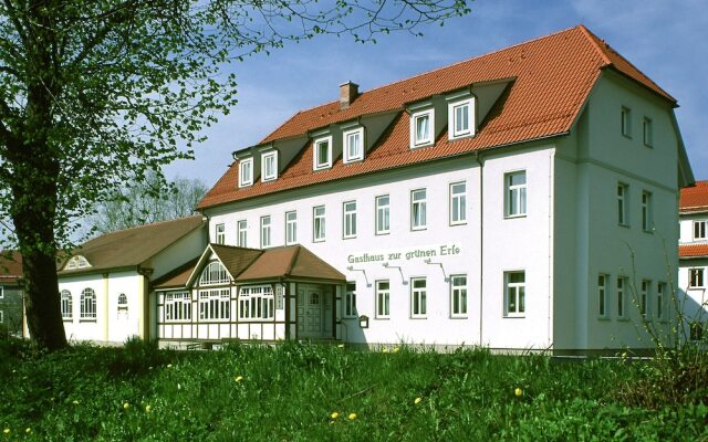 Zur Grünen Erle