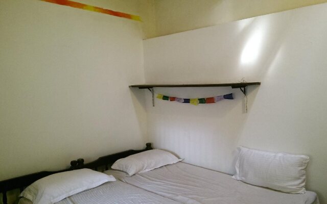 The Lazy Llama Hostel